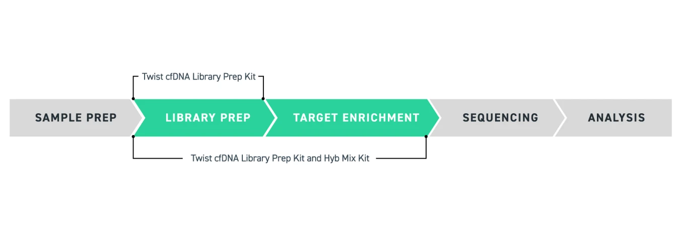 Workflow Twist cfDNA Library Prep Kit — sample prep, library prep, target enrichment, sequencing, analysis