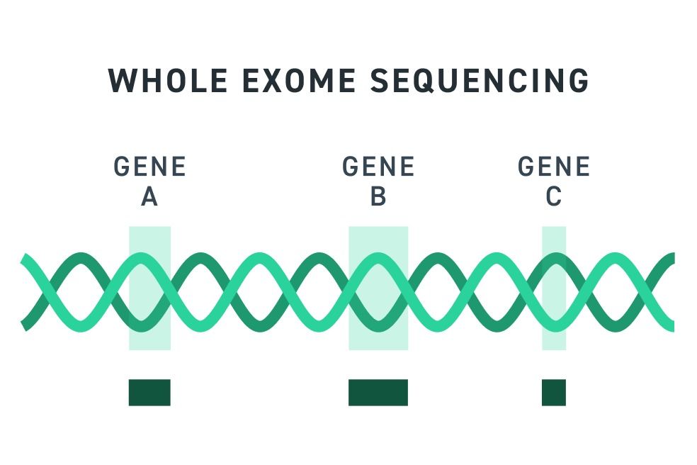 Whole exome sequencing — cílené obohacení kódujících oblastí genů
